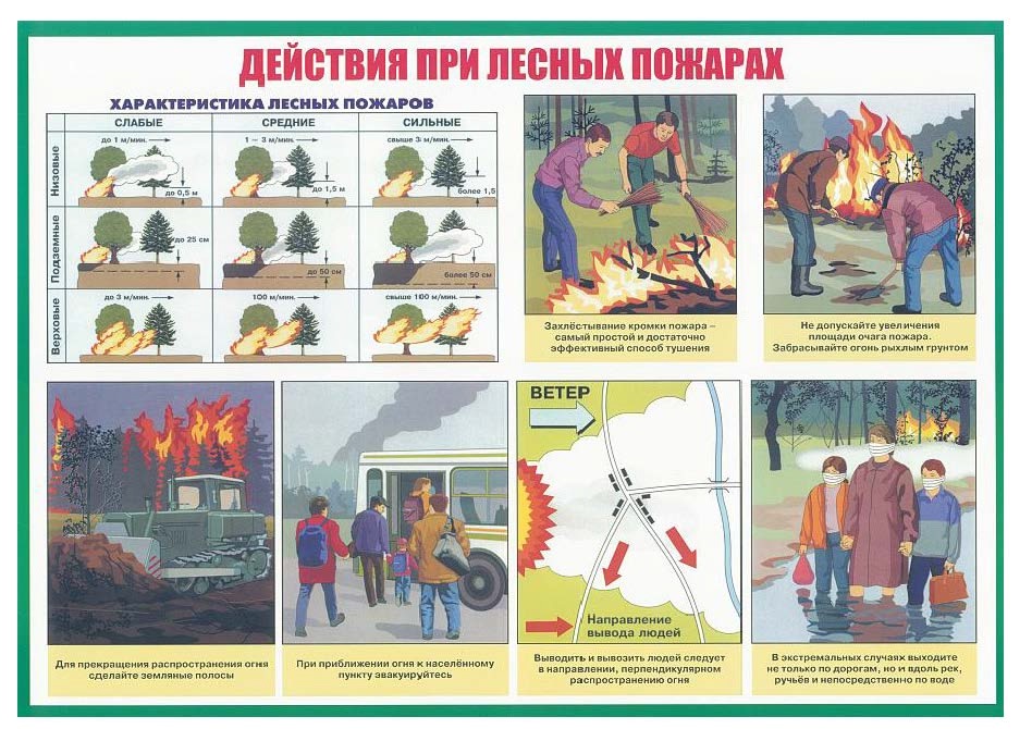 «Мои безопасные каникулы».